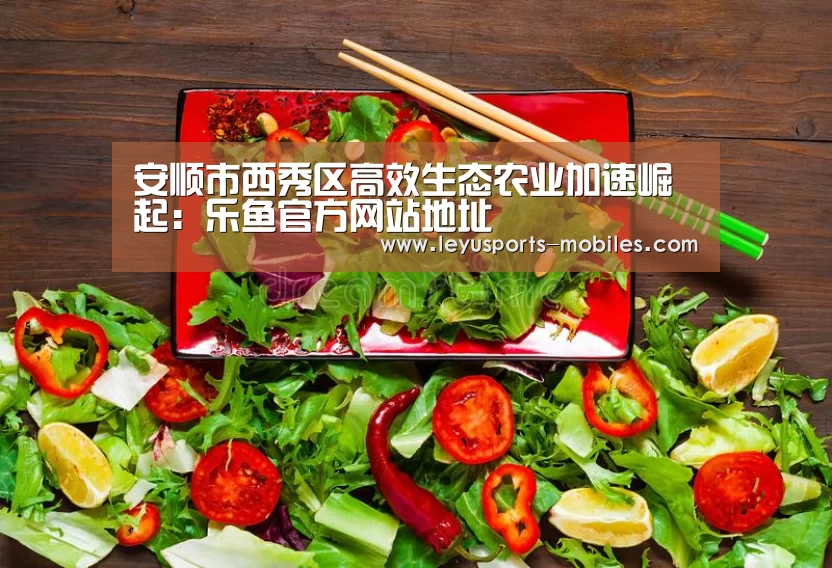 乐鱼平台最新版本