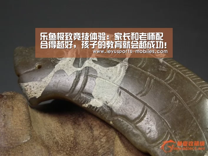 乐鱼极致竞技体验